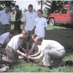 Suivi satellitaire des Cigognes Blanches