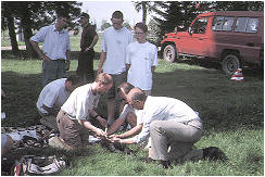 Suivi satellitaire des Cigognes Blanches